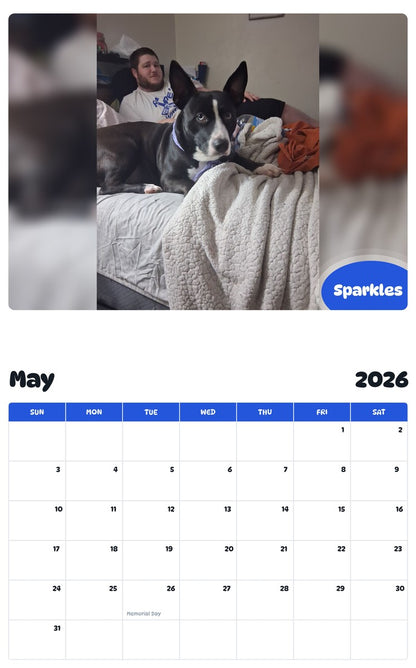 2026 - 2027 Sparkles - Pawidols Pet Calendar