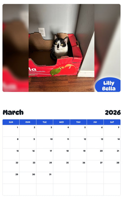 November 2025 - October 2026 Lilly Bella - Pawidols Pet Calendar