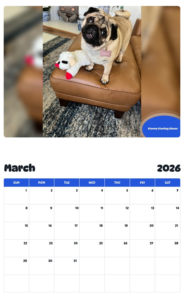 November 2025 - October 2026 Stormy Sterling Silvers - Pawidols Pet Calendar