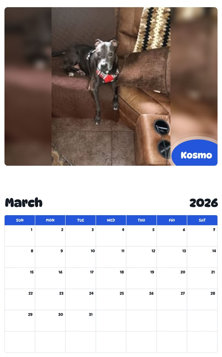 November 2025 - October 2026 Kosmo - Pawidols Pet Calendar