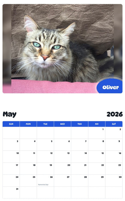 2026 - 2027 Oliver - Pawidols Pet Calendar