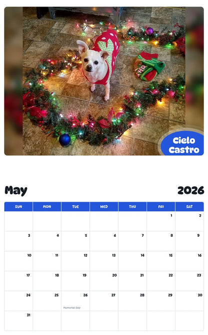 2026 - 2027 Cielo Castro - Pawidols Pet Calendar