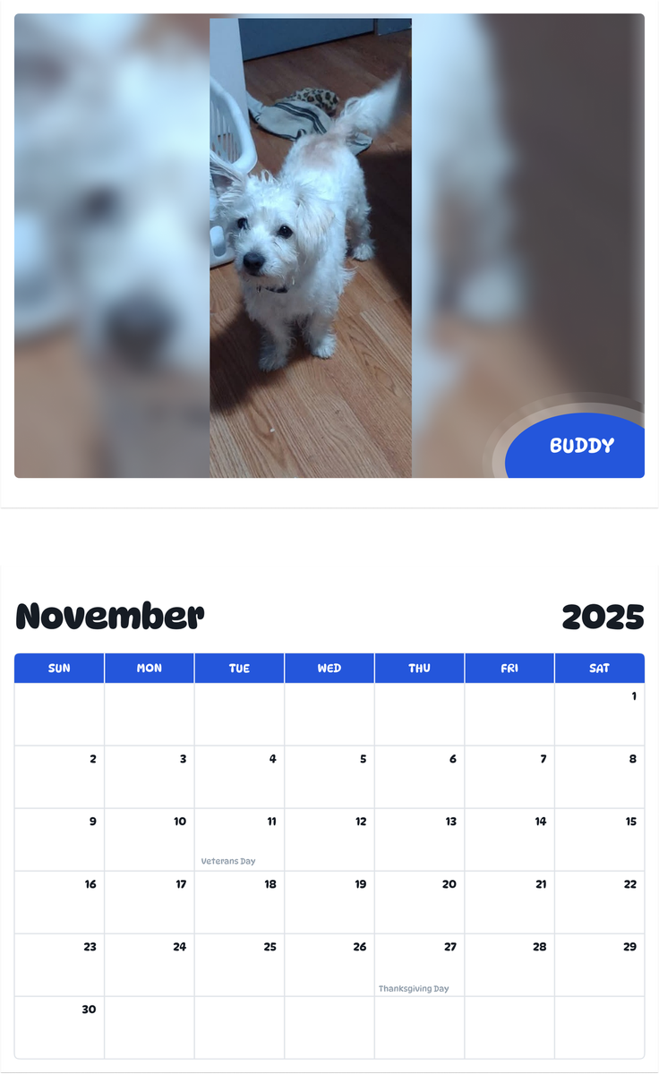 July 2025 - June 2026 Buddy - Pawidols Pet Calendar
