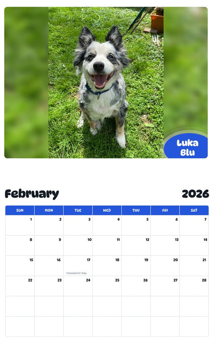 October 2025 - September 2026 Luka Blu - Pawidols Pet Calendar