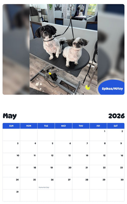 2026 - 2027 Spikes/Mitzy - Pawidols Pet Calendar