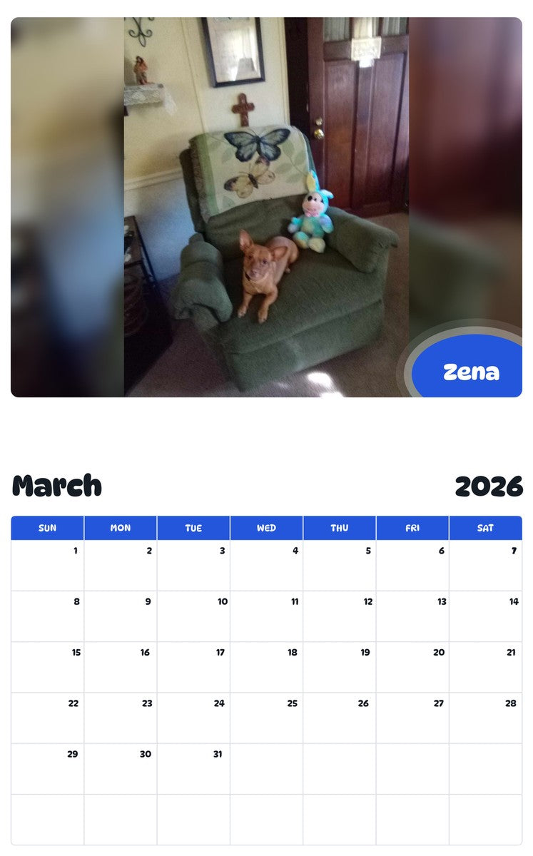 November 2025 - October 2026 Zena - Pawidols Pet Calendar