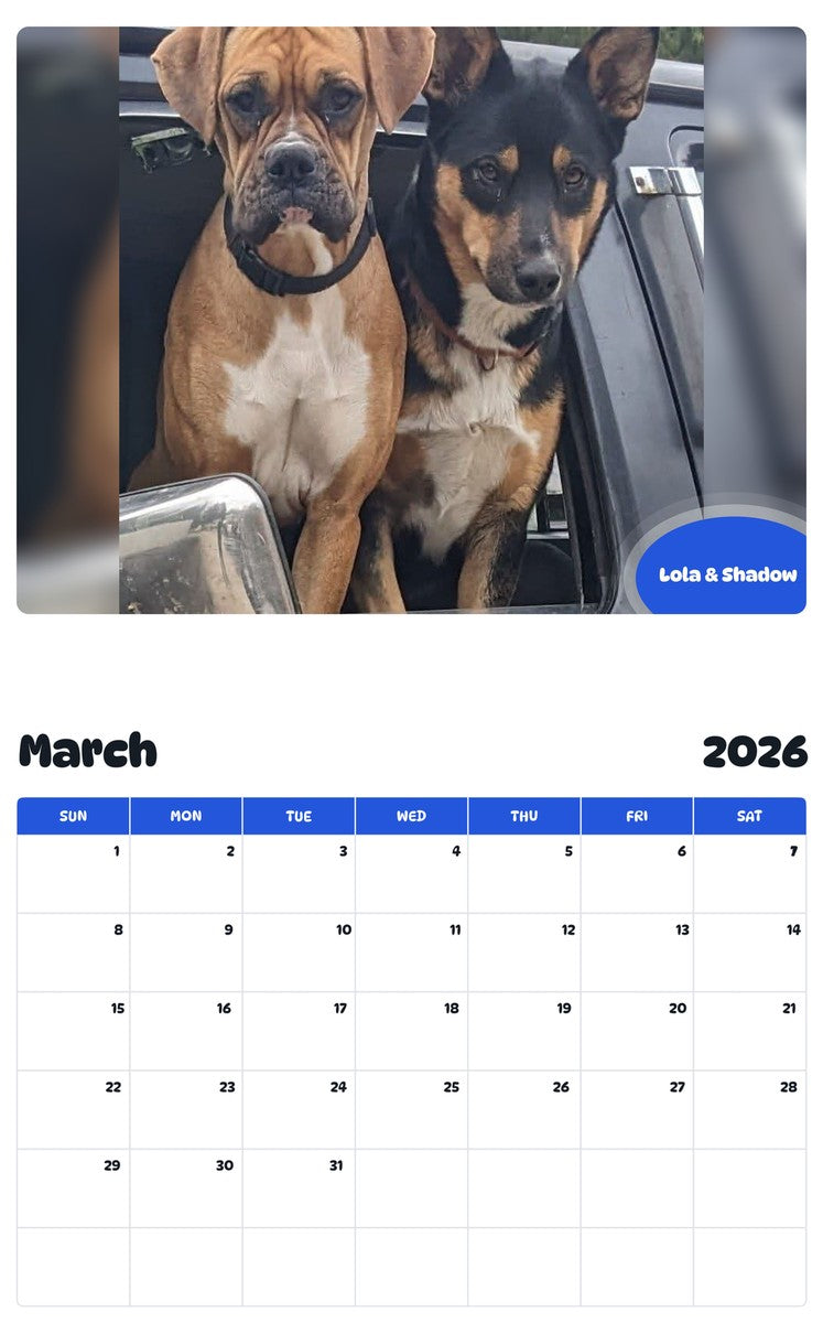 November 2025 - October 2026 Lola & Shadow - Pawidols Pet Calendar