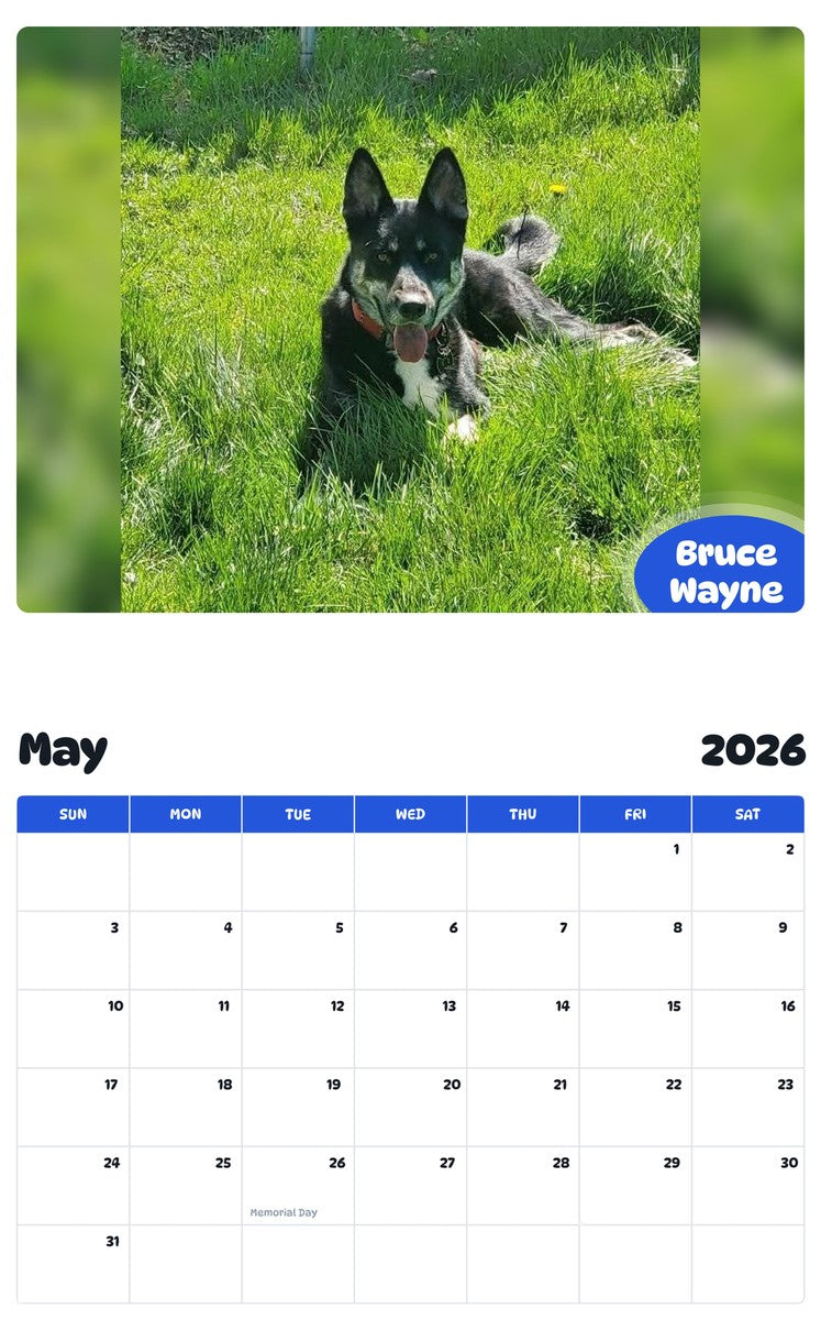 2026 - 2027 Bruce Wayne - Pawidols Pet Calendar