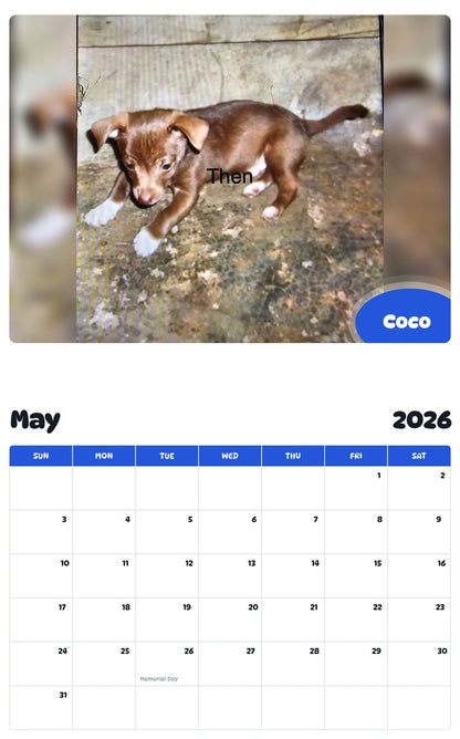 2026 - 2027 Coco - Pawidols Pet Calendar