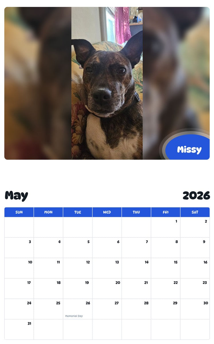 2026 - 2027 Missy - Pawidols Pet Calendar