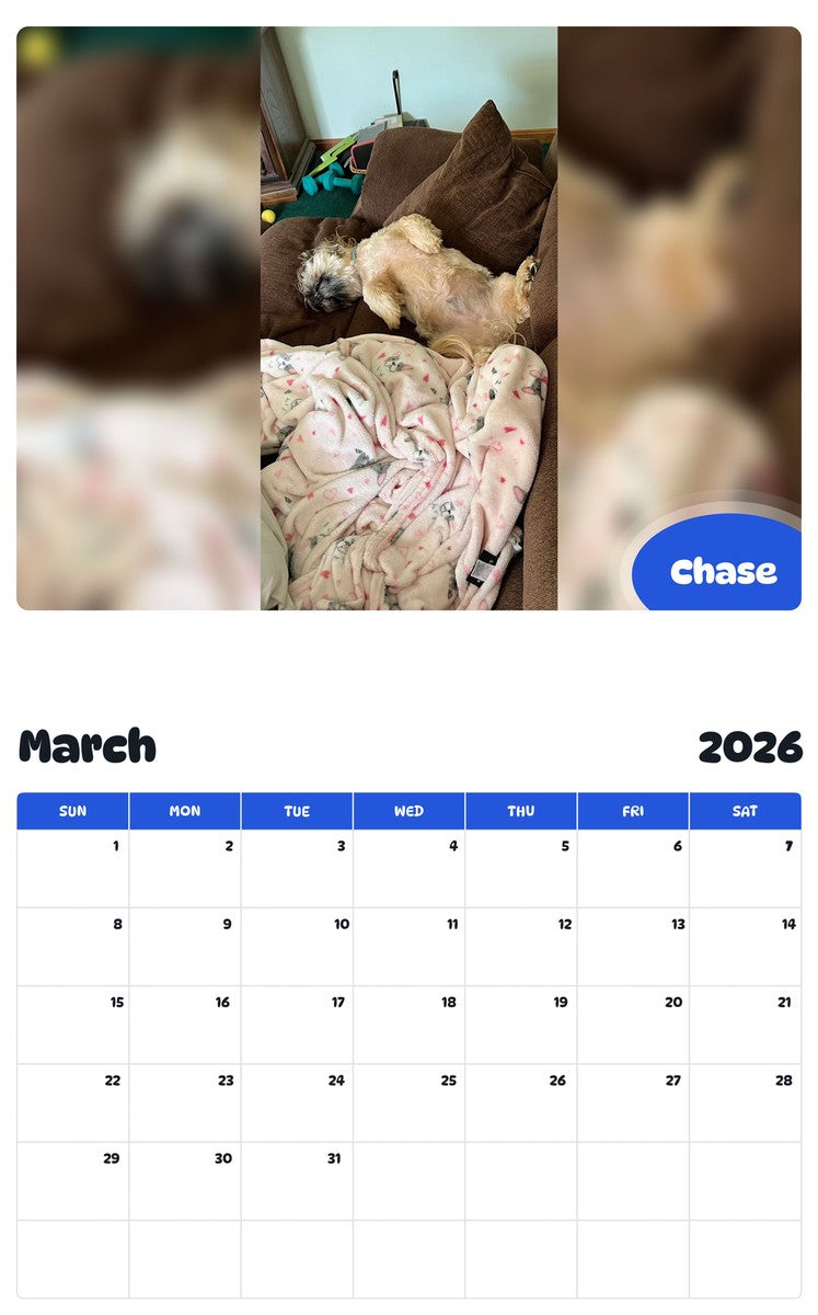 November 2025 - October 2026 Chase - Pawidols Pet Calendar