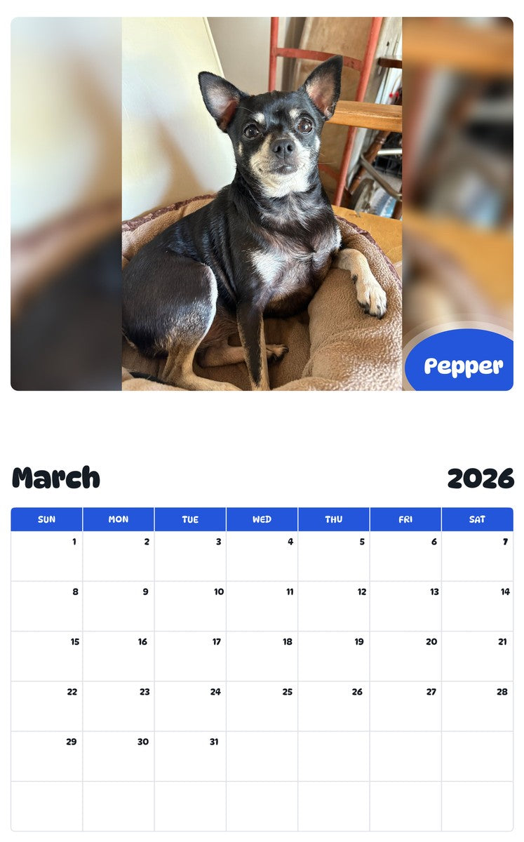 November 2025 - October 2026 Pepper - Pawidols Pet Calendar