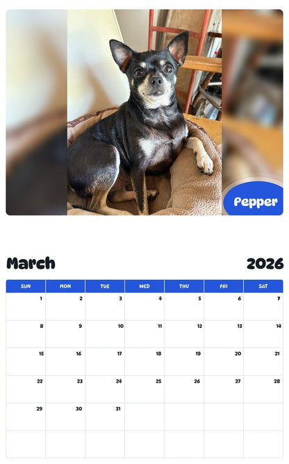 November 2025 - October 2026 Pepper - Pawidols Pet Calendar