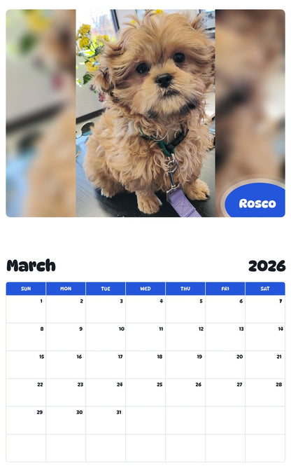 November 2025 - October 2026 Rosco - Pawidols Pet Calendar