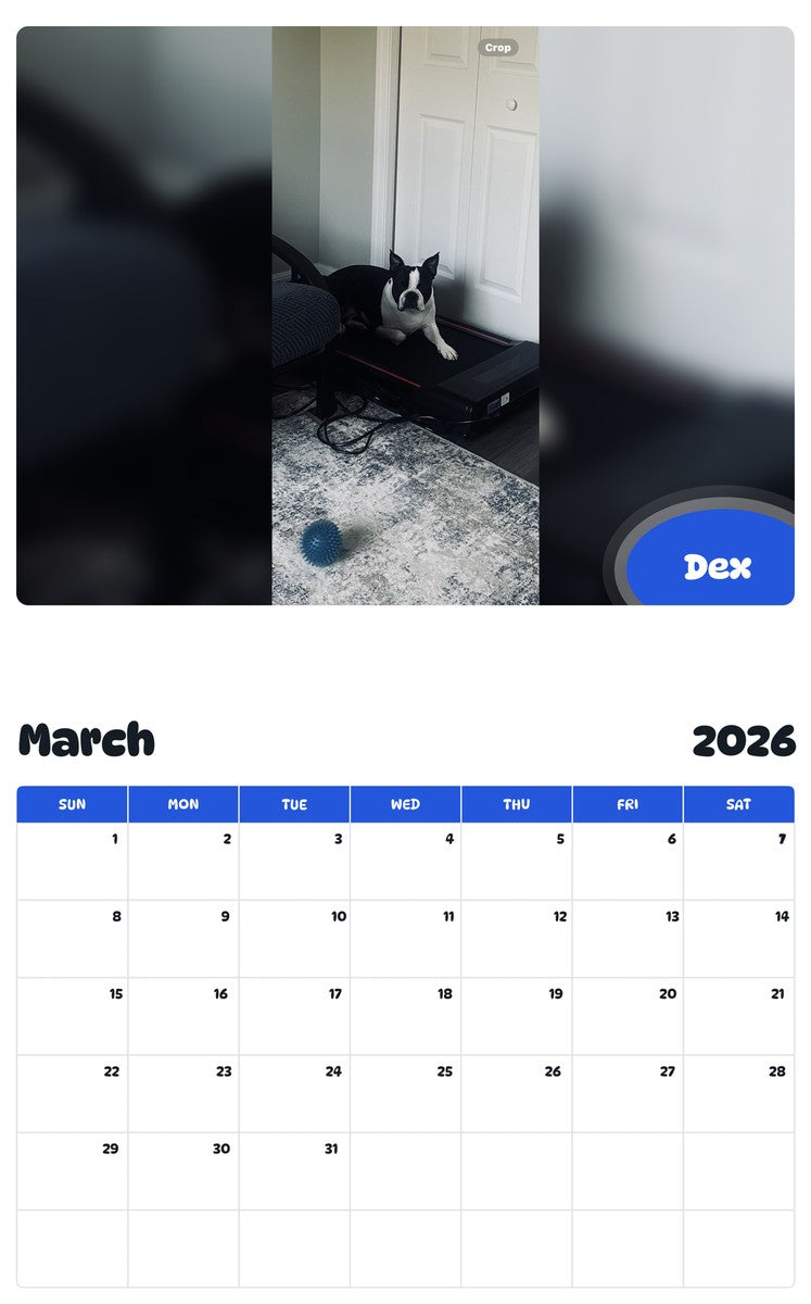 November 2025 - October 2026 Dex - Pawidols Pet Calendar