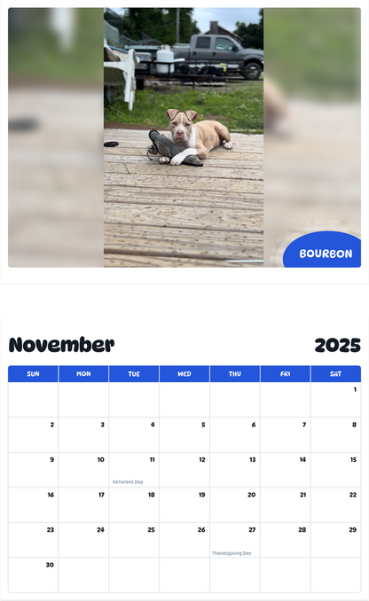 July 2025 - June 2026 Bourbon - Pawidols Pet Calendar