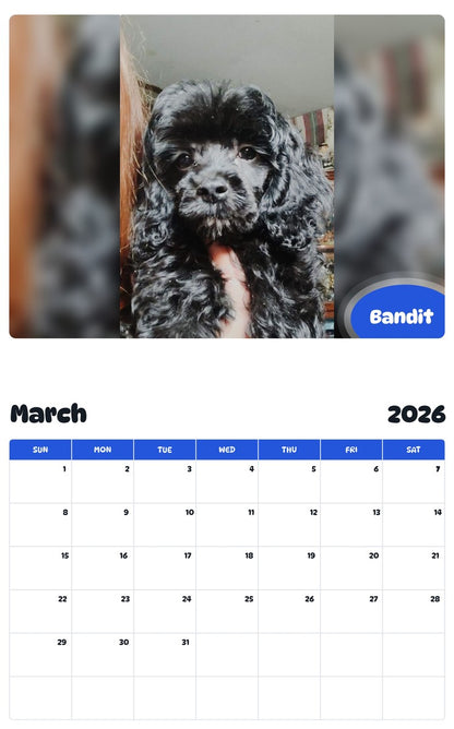 November 2025 - October 2026 Bandit - Pawidols Pet Calendar