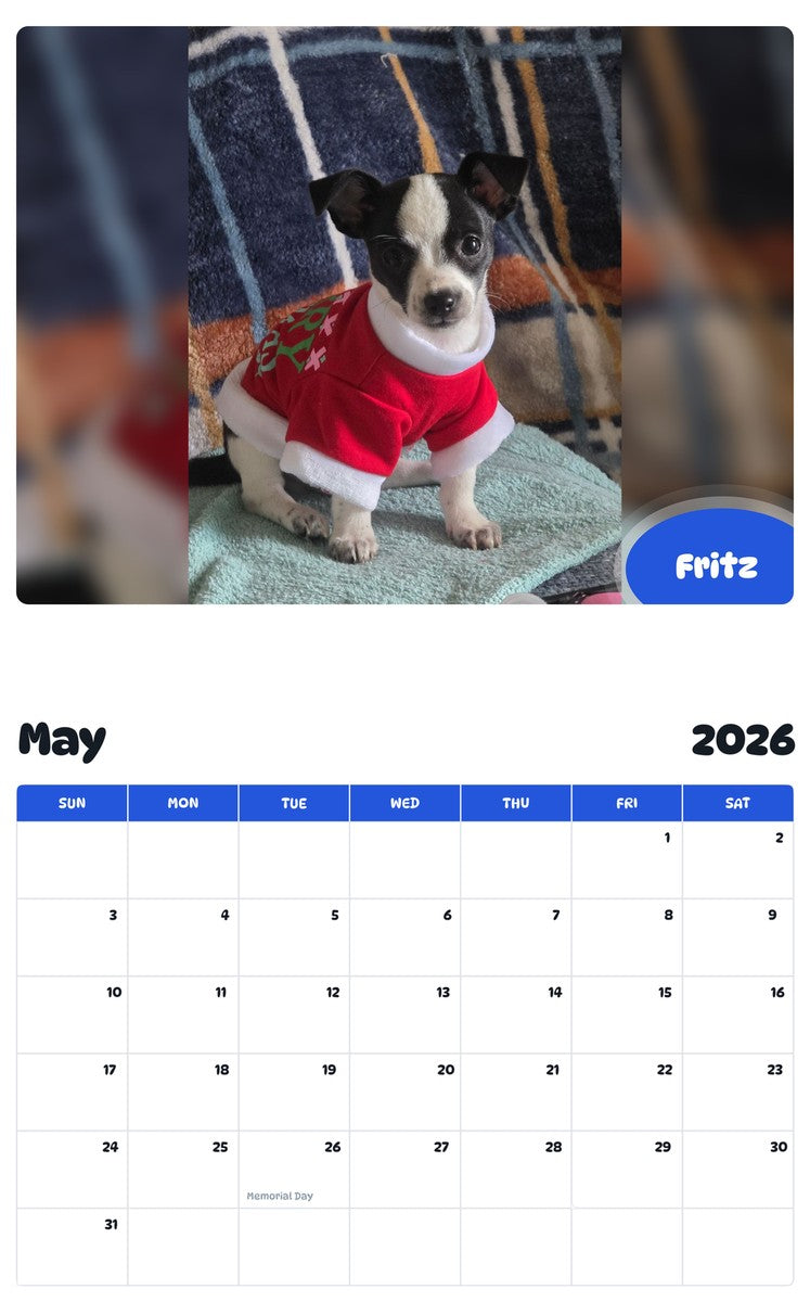 2026 - 2027 Fritz - Pawidols Pet Calendar
