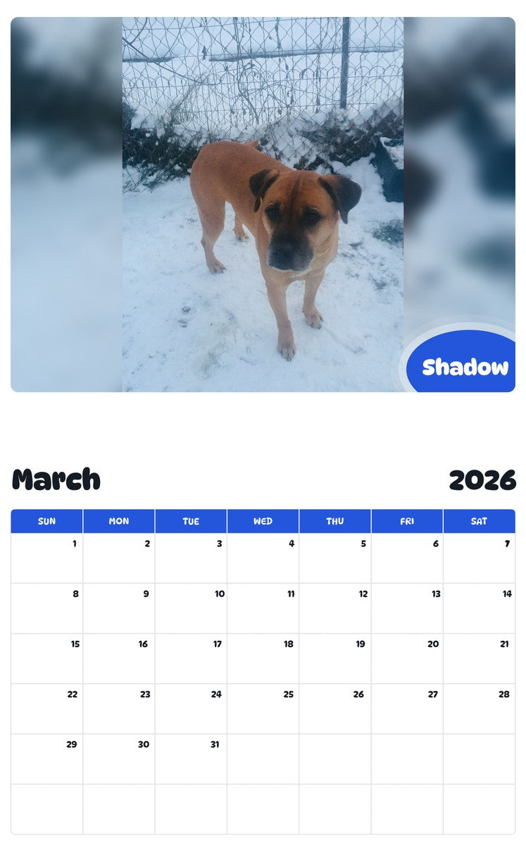 November 2025 - October 2026 Shadow - Pawidols Pet Calendar