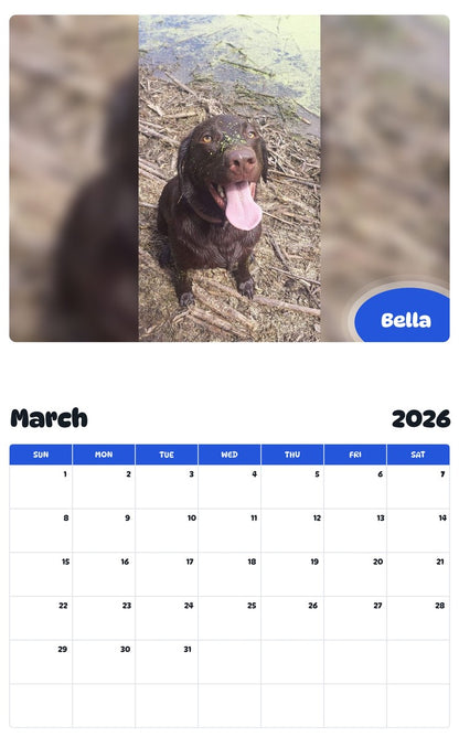 November 2025 - October 2026 Bella - Pawidols Pet Calendar