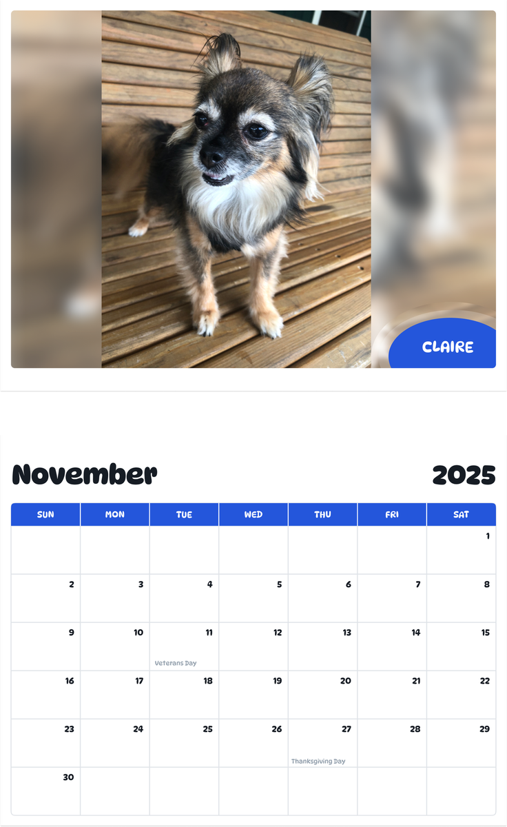 July 2025 - June 2026 Claire - Pawidols Pet Calendar