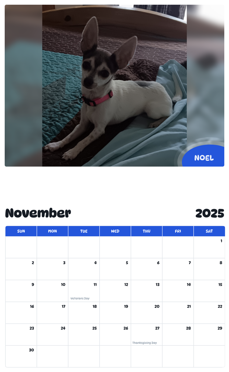 July 2025 - June 2026 Noel - Pawidols Pet Calendar