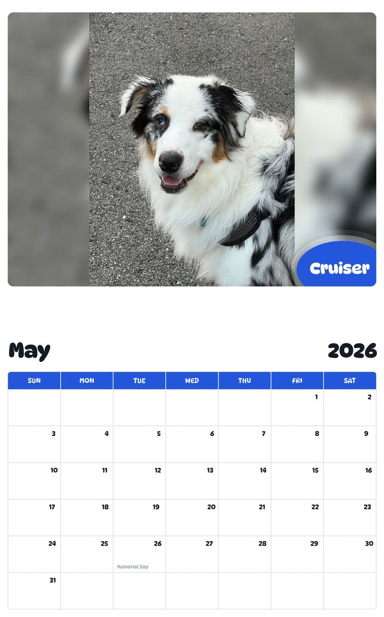 2026 - 2027 Cruiser - Pawidols Pet Calendar