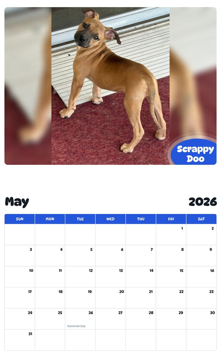 2026 - 2027 Scrappy Doo - Pawidols Pet Calendar