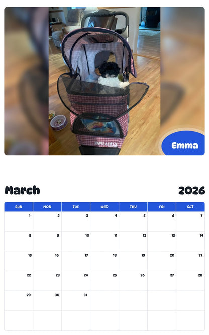 November 2025 - October 2026 Emma - Pawidols Pet Calendar