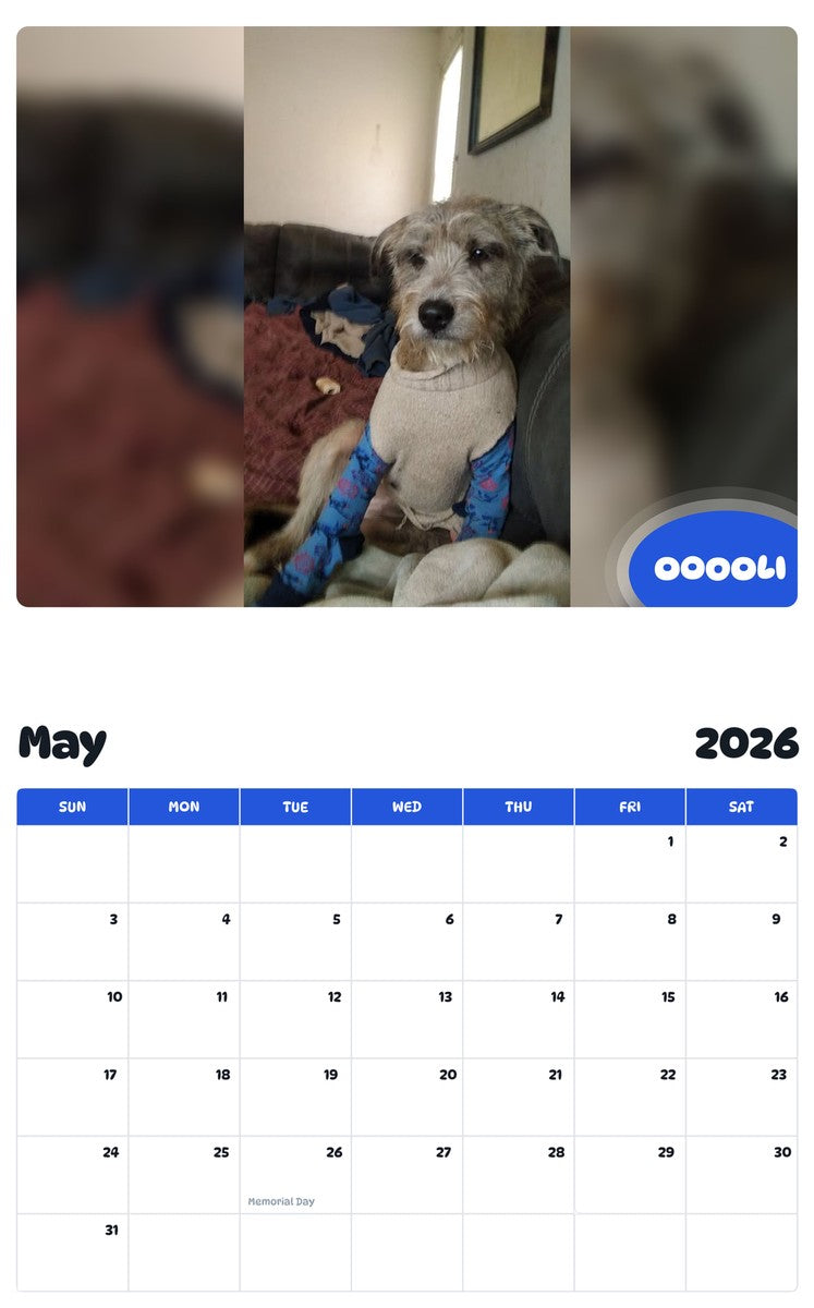 2026 - 2027 OOOOLI - Pawidols Pet Calendar