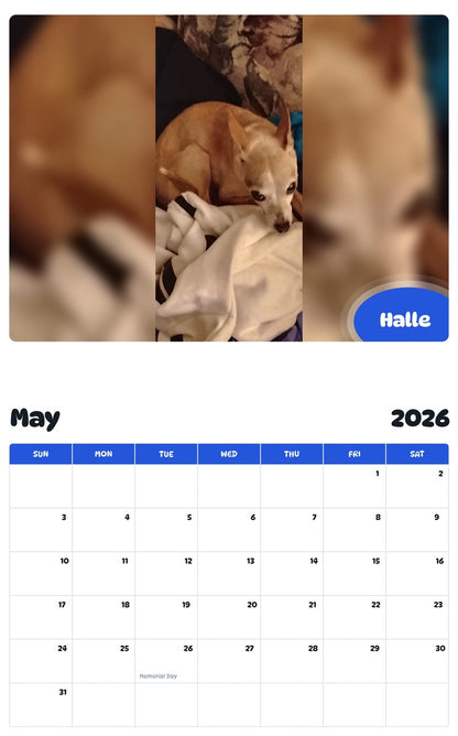 2026 - 2027 Halle - Pawidols Pet Calendar