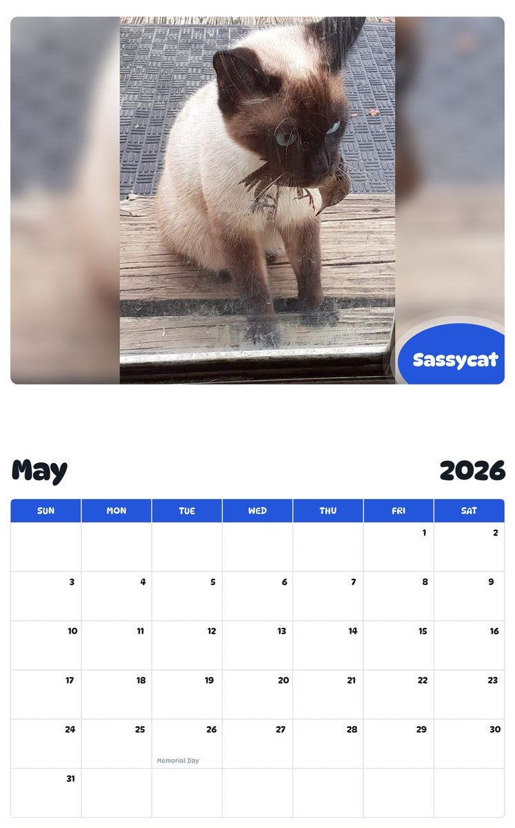 2026 - 2027 Sassycat - Pawidols Pet Calendar