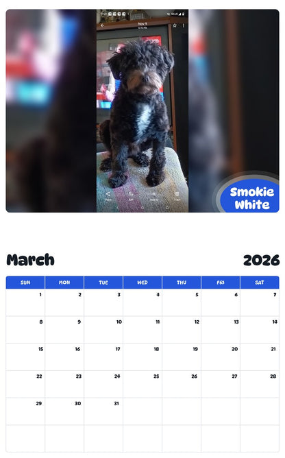 November 2025 - October 2026 Smokie White - Pawidols Pet Calendar