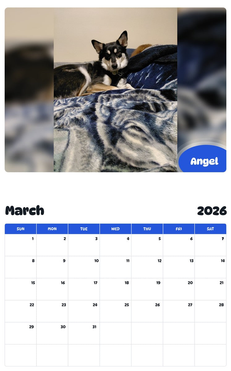November 2025 - October 2026 Angel - Pawidols Pet Calendar