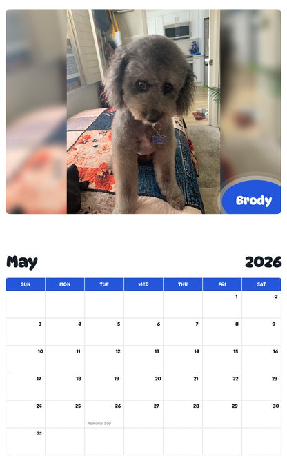 2026 - 2027 Brody - Pawidols Pet Calendar