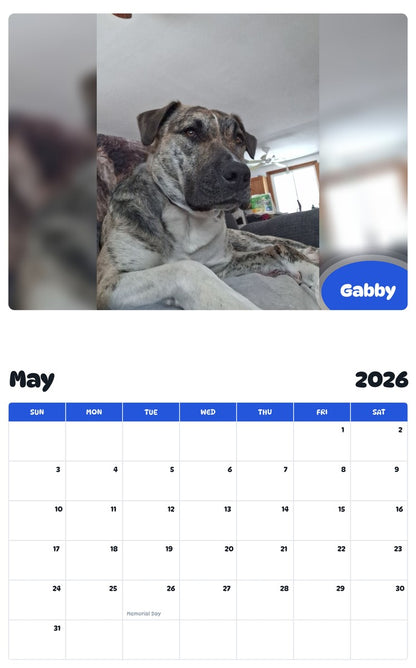 2026 - 2027 Gabby - Pawidols Pet Calendar