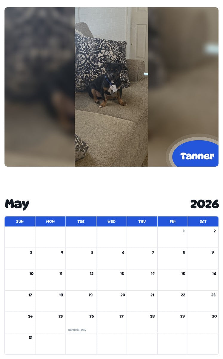 2026 - 2027 Tanner - Pawidols Pet Calendar