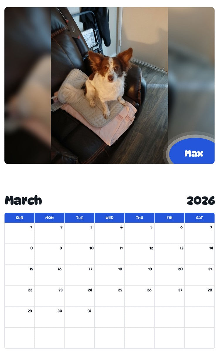 November 2025 - October 2026 Max - Pawidols Pet Calendar