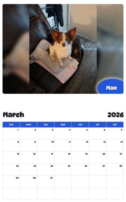 November 2025 - October 2026 Max - Pawidols Pet Calendar