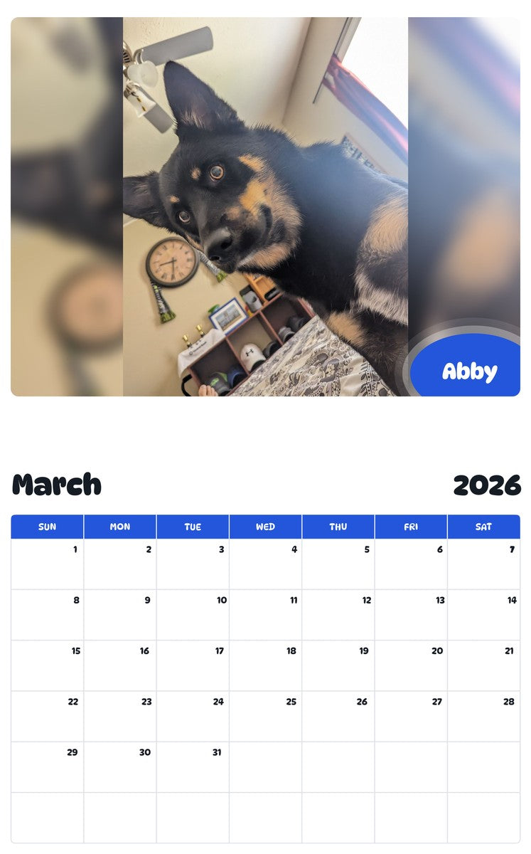 November 2025 - October 2026 Abby - Pawidols Pet Calendar