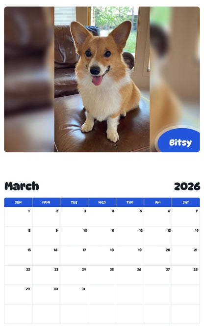 November 2025 - October 2026 Bitsy - Pawidols Pet Calendar