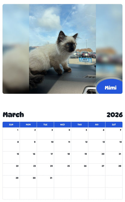 November 2025 - October 2026 Mimi - Pawidols Pet Calendar