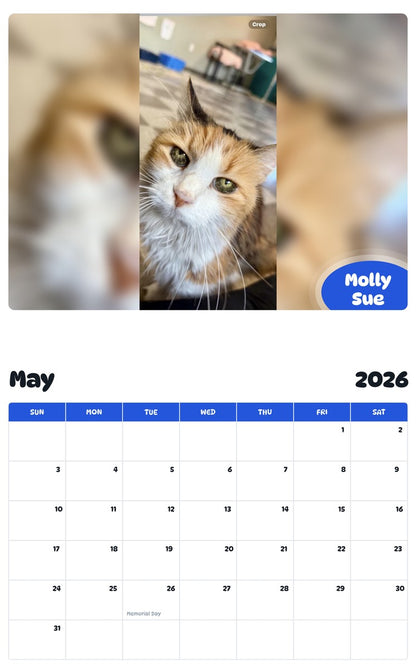 2026 - 2027 Molly Sue - Pawidols Pet Calendar