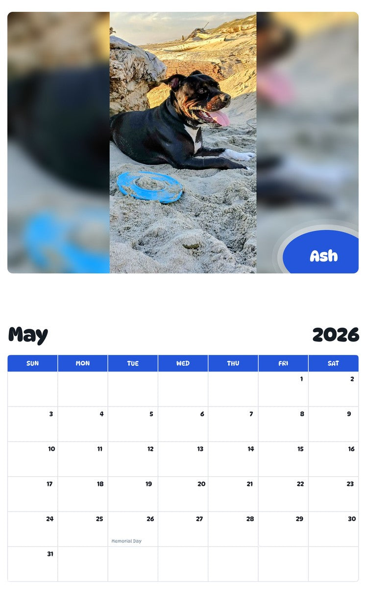 2026 - 2027 Ash - Pawidols Pet Calendar