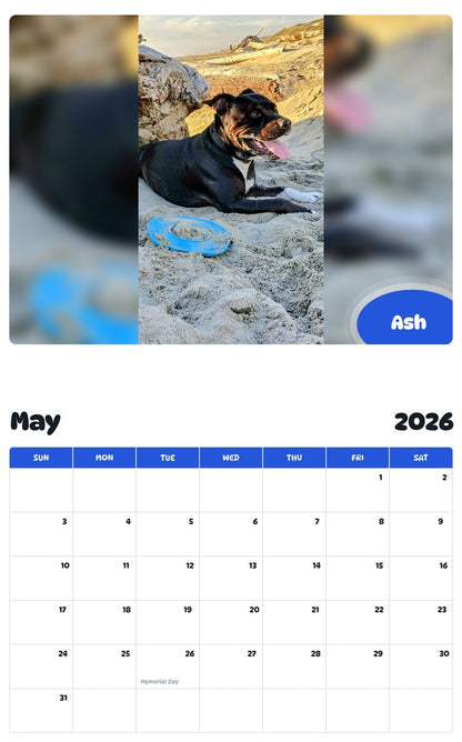 2026 - 2027 Ash - Pawidols Pet Calendar