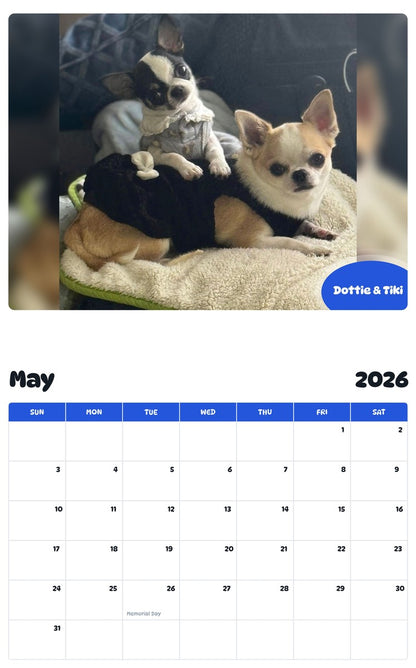 2026 - 2027 Dottie & Tiki - Pawidols Pet Calendar