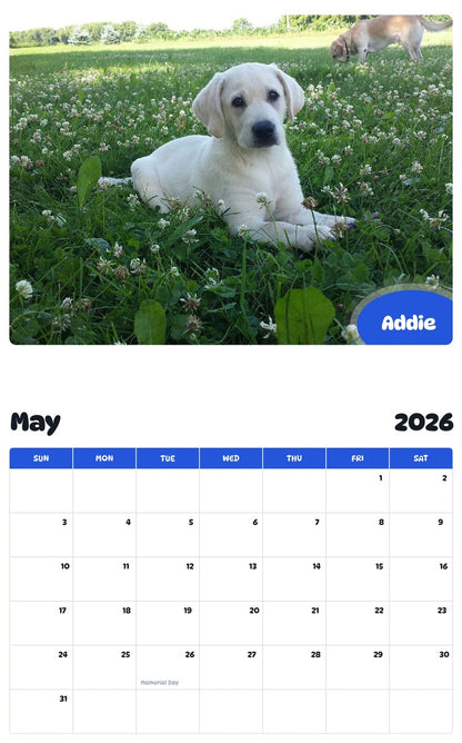2026 - 2027 Addie - Pawidols Pet Calendar