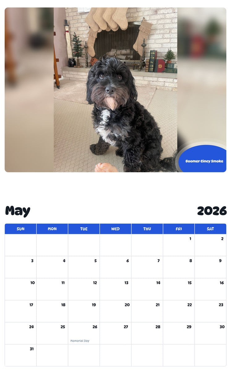 2026 - 2027 Boomer Cincy Smoke - Pawidols Pet Calendar