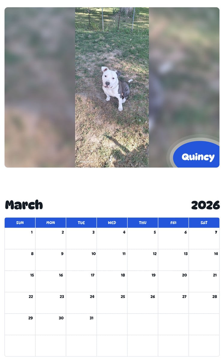 November 2025 - October 2026 Quincy - Pawidols Pet Calendar