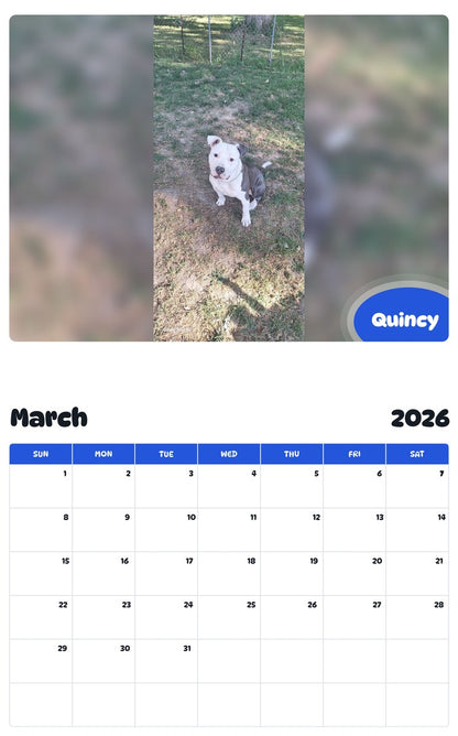 November 2025 - October 2026 Quincy - Pawidols Pet Calendar